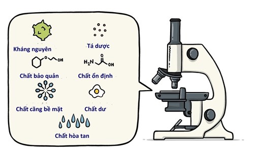 Một Vaccine được phê duyệt để sản xuất như thế nào?