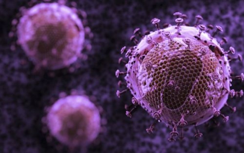 Siêu kháng thể mới diệt 99% HIV