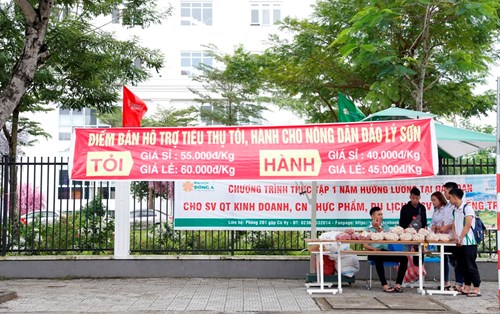 Đại học Đông Á hỗ trợ tiêu thụ hành, tỏi cho bà con nông dân Lý Sơn