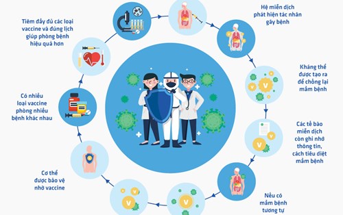 Cơ chế hoạt động của vaccine