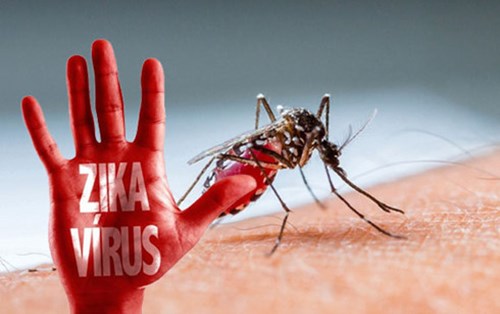 Zika có thể gây mù ở trẻ sơ sinh